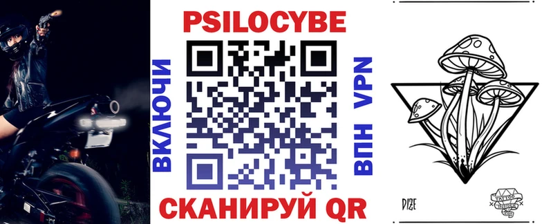 Псилоцибиновые грибы Cubensis  Купить закладки  Щигры 